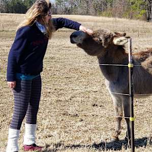 Bright Star Farm