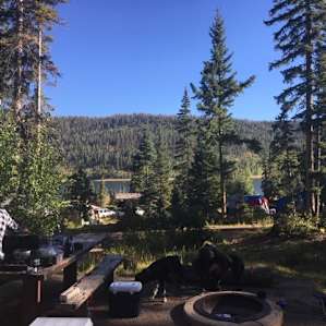 Spruces Campground