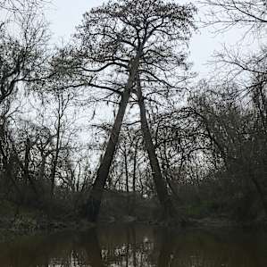 Oxbow