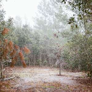 A beautiful, secluded campsite at the back of the property.