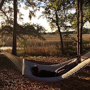 Camp on the Creek