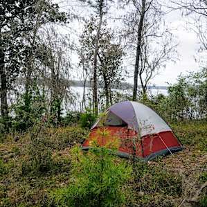 Goat House Farm Camping