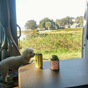 Ocala Forest Lakefront Paradise