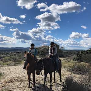 Saddle Up Horse Rescue