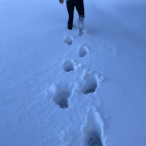 Trail to yurt