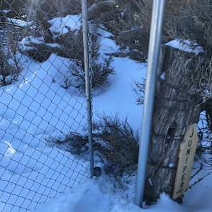 Gate wouldn't open further because snow had not been shoveled. We squeezed in and threw our bags over, but anyone larger would have been stuck.