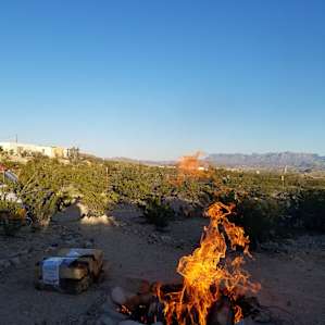 Nice fire going in the fire pit!