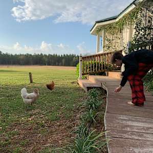 Farm friends