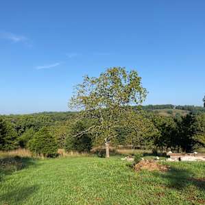 Dockley Ranch Hilltop Cabin