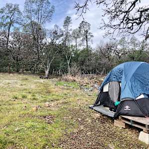 Tree Swing Campsite - GRPF #5