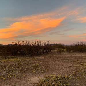 Sunrise at campsite #8