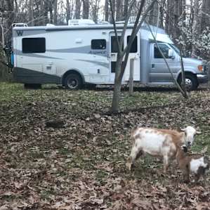 Camper spot 5 mins from 95!