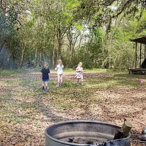 Texas Treehouse Swings Camp