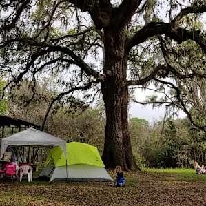 Texas Treehouse Swings Camp
