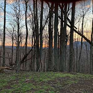 Pasture Paradise