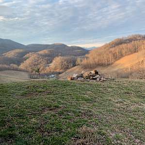 Pasture Paradise