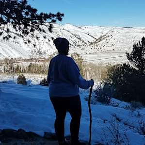 Little Cabin with a view