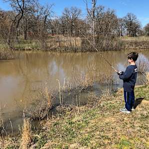 Fully stocked pond