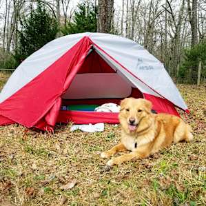 Nice campsite