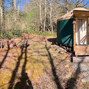 Little Green Yurt of Cedar Mountain
