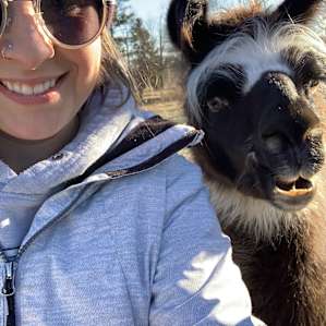 Bella Luna Alpaca Farm Cabin