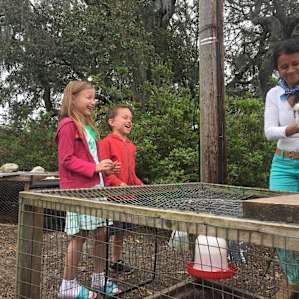 They loved the wriggly chickens.