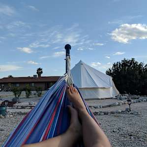 Backyard Bohemia