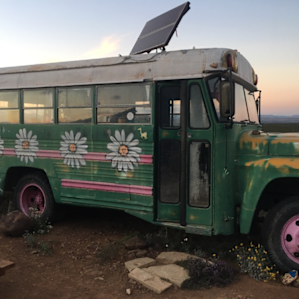 1972 Vintage School Bus "Franny"