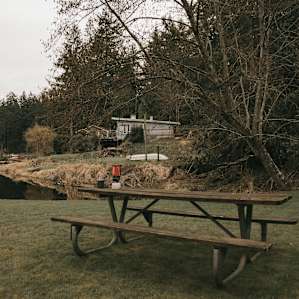 One Picnic Table that's uncovered