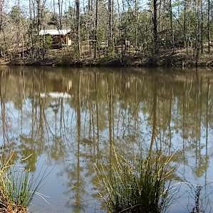 View from other side of the lake