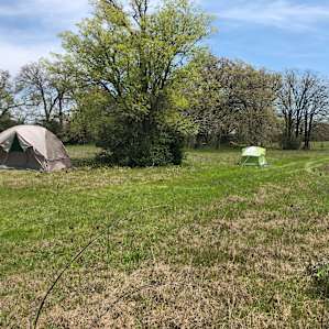 Found a nice tree to set tents next to.