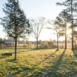5D Ranch