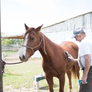 Rafter G Ranch