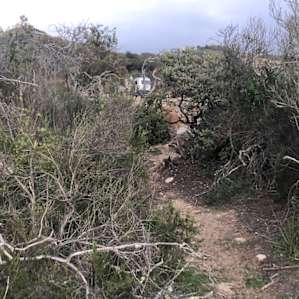 Path from the cool bench