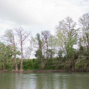Oxbow