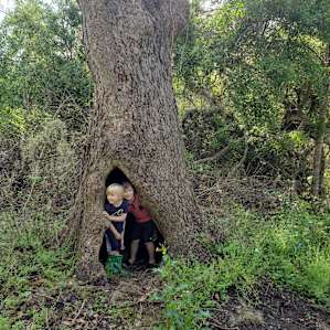 Texas Treehouse Swings Camp