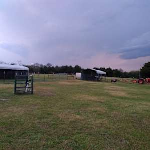 Part of the farm