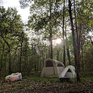 our spacious yet secluded campsite