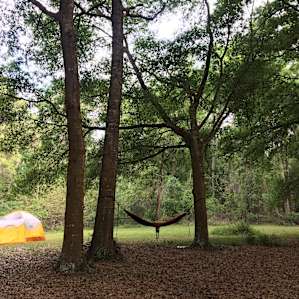 Our site, complete with hammock!