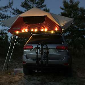 Hammock in the Pines