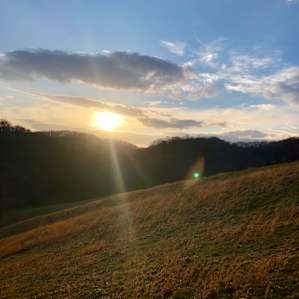 Pasture Paradise
