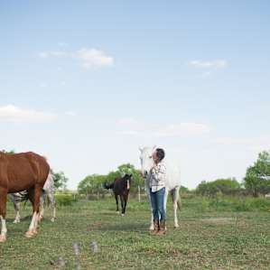The horses are so gentle and happily accept kisses!