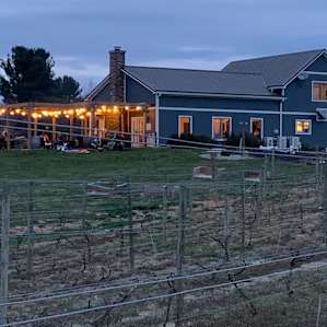 Evening at the vineyard
