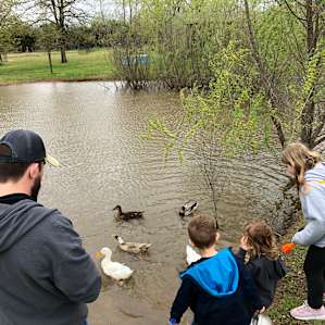 Feeding the ducks!
