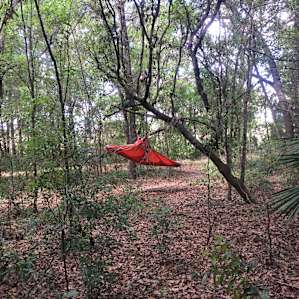 You feel like you're in the middle of the woods.