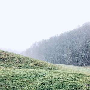 Pasture Paradise