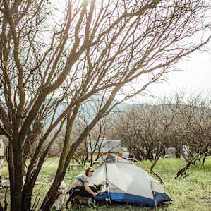 We set up our tent under a Mesquite Tree.