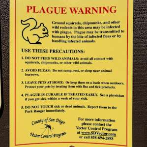 Plague warning.
