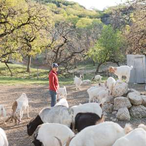 It was so fun getting to experience goat feeding time!