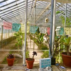 Eclectic Beach Greenhouse
